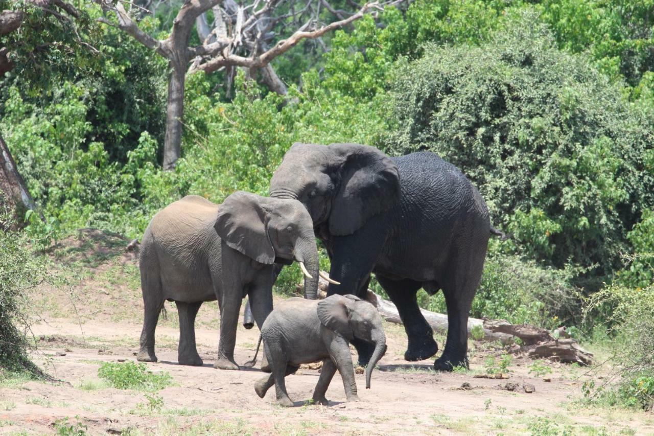 Tlou Safari Lodge Kasane Luaran gambar